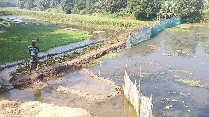 বাংলাদেশে নদী দখল করে প্রভাবশালীদের মাছ চাষ